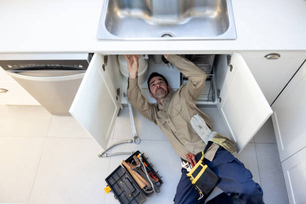 Best Local Plumber Services  in Mount Olive, AL