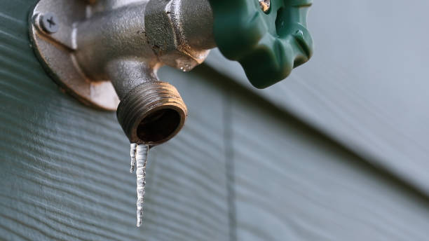 Best Clogged Drain Plumber  in Mount Olive, AL